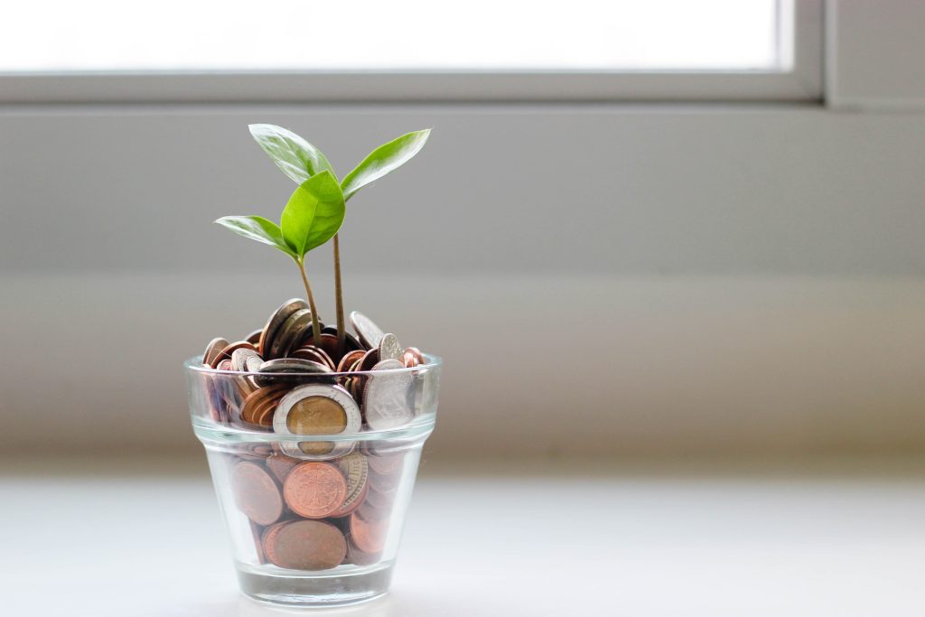 Money Plant & Funds